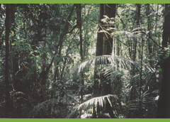 Queensland Australia