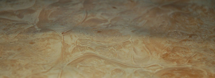 Timberline Exotic Hardwoods - Rippled Sycamore Veneer